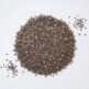 1977_chia_sem